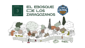 La Copa Colegial Zaragoza contará con su espacio en el Bosque de los Zaragozanos