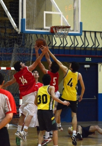 De todo bajo canasta...