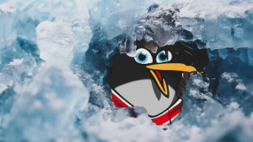 Los Pingüinos rompen el hielo y regresan a la Copa Colegial cuatro años después