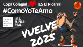 Vuelven en 2025: Copa Colegial & IES El Picarral