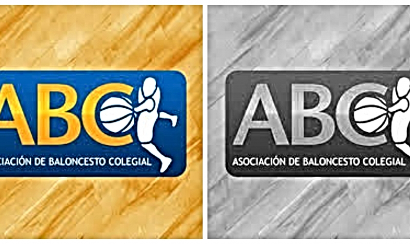 Webinar de la Copa Colegial: conclusiones principales de la primera reunión de este curso