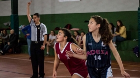 Ya hay fechas oficiales para la Copa Colegial en Málaga